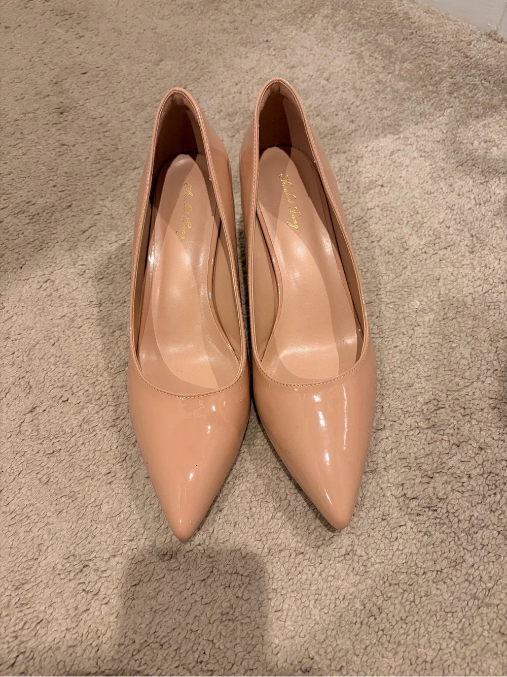 Classic Nude Patent Pointed-Toe Pumps